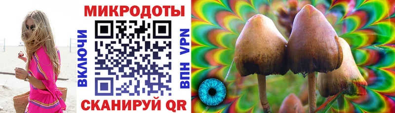 Псилоцибиновые грибы Psilocybe  что такое наркотик  Тавда 